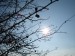 DSC04576.JPG