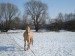 DSC04538.JPG
